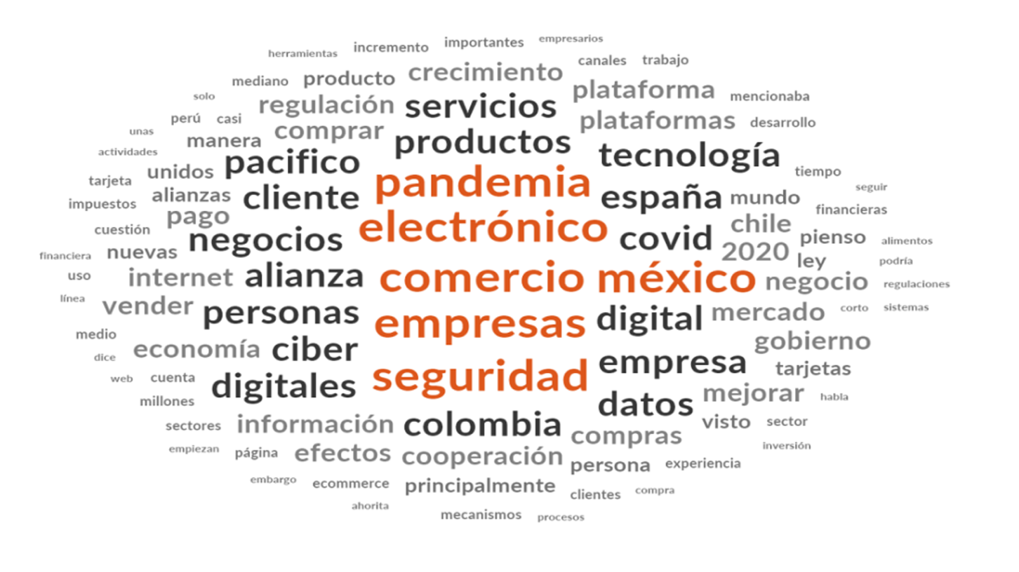 Dimensión 1: E-commerce como modelo de negocio