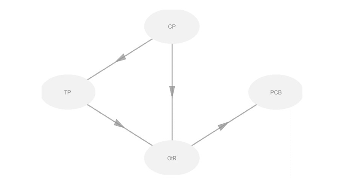 Theoretical model to analyse the influence of contextual performance (CP) on promoter citizenship behaviour (PCB), with the mediating variables of task performance (TP) and orientation towards results (OtR).
