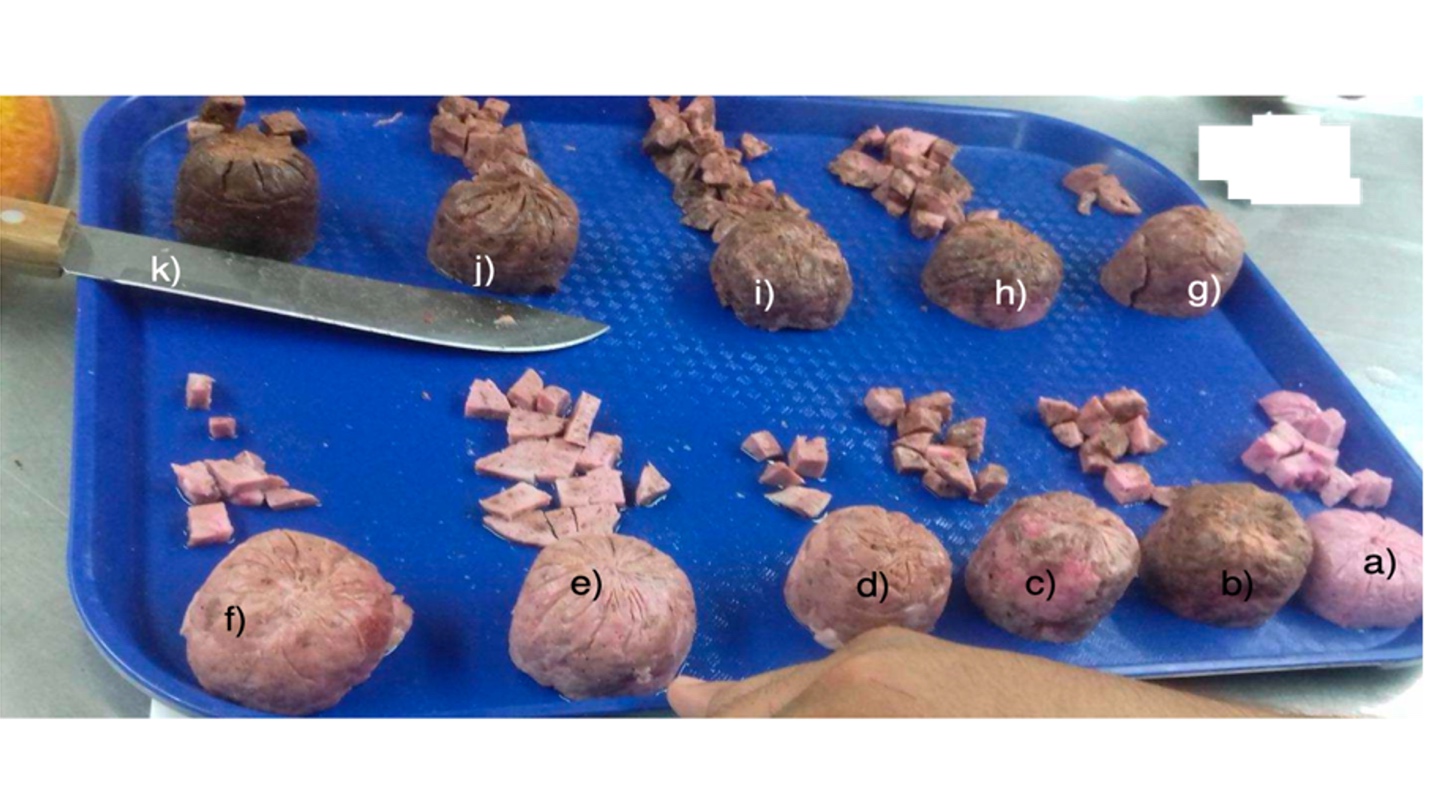 Producto de embutido enriquecido con harina de saltamontes molida (Sphenarium purpurascens), con diferentes formulaciones (cantidad de proteína de insecto).