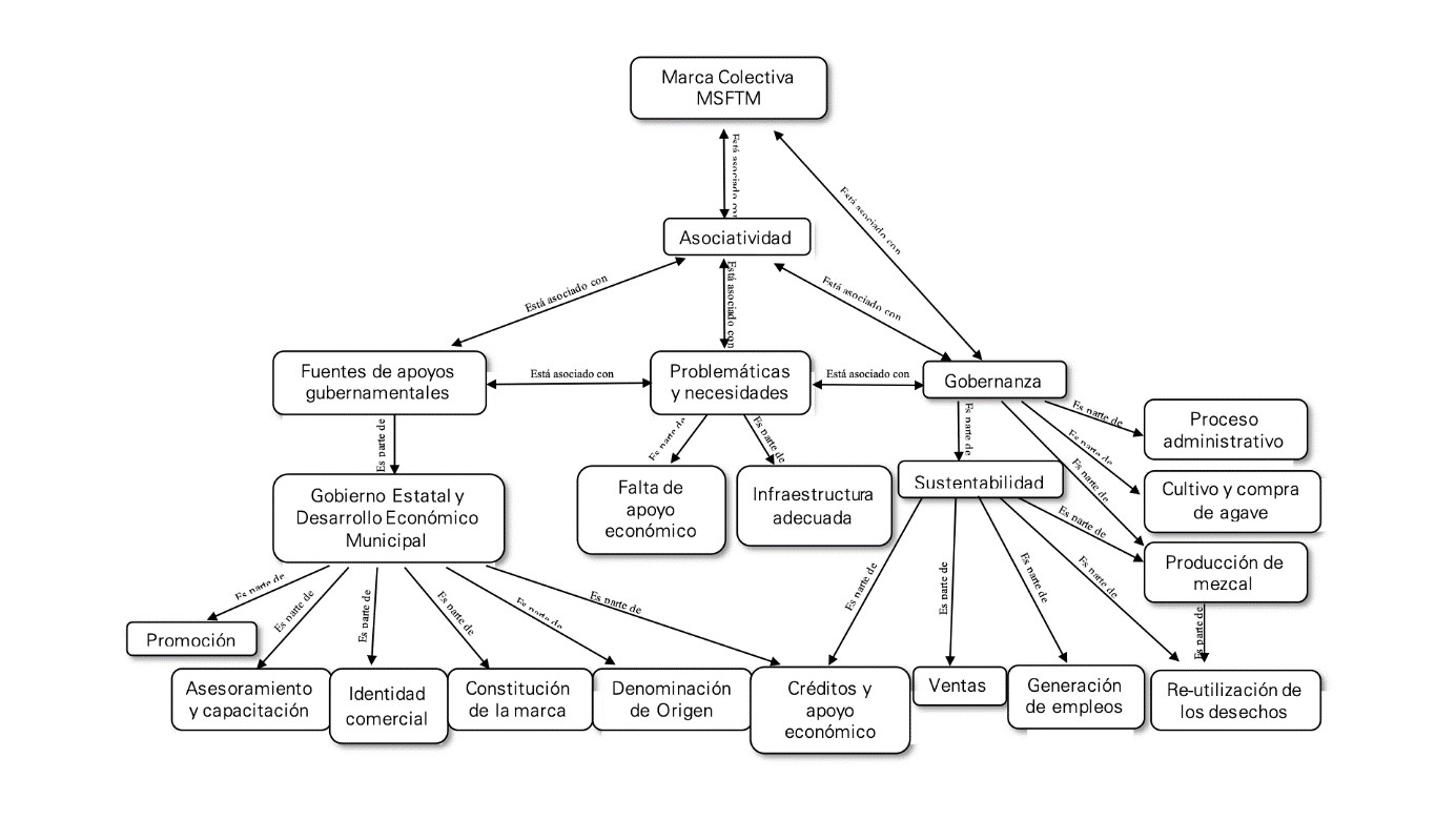 Asociatividad y gobernanza en la cadena de valor de la marca colectiva MSFTM