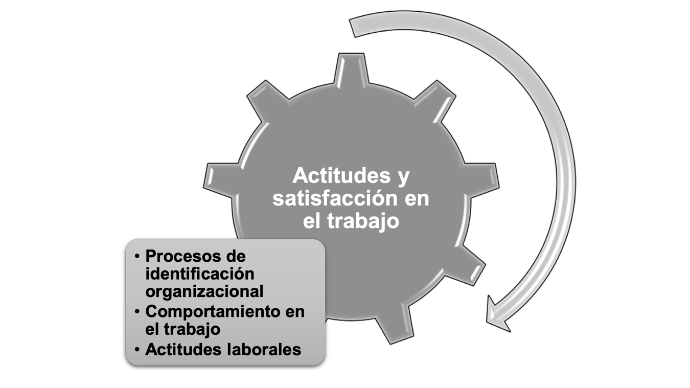 Actitudes y conductas de trabajo que están identificadas con las organizaciones.