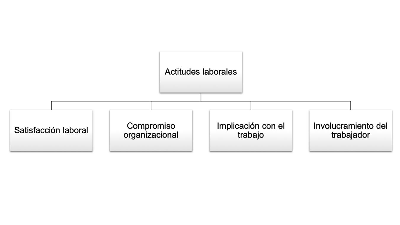 Actitudes laborales más estudiadas en los últimos tiempos por la Psicología Organizacional.