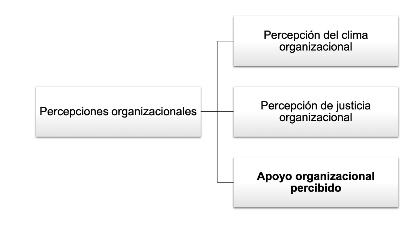 Percepciones organizacionales más estudiadas en los últimos tiempos por la Psicología Industrial Organizacional.