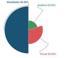 Chart, pie chart

Description automatically generated