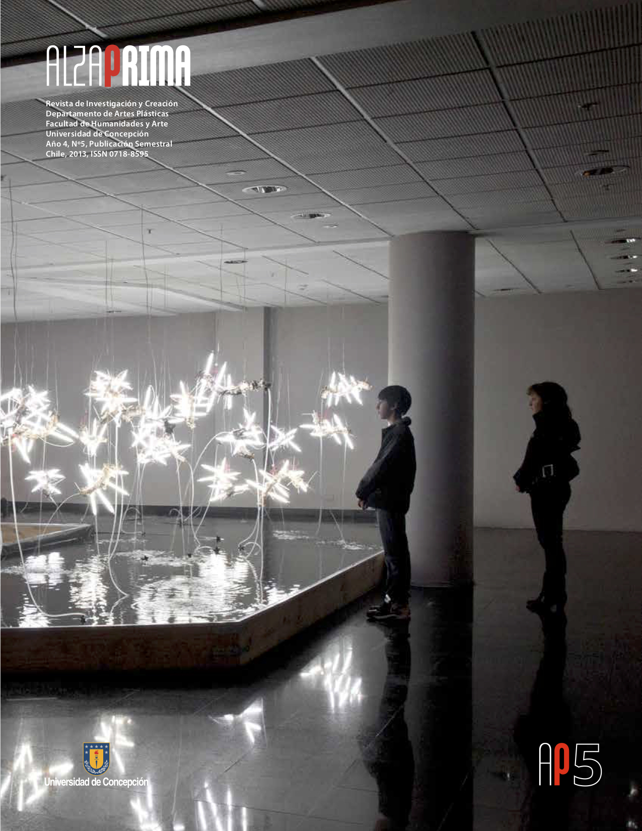 Proyecto ADN, Máximo Corvalán Pincheira. Museo de la Memoria, 2012. Fotografia: Jorge Brantmayer.